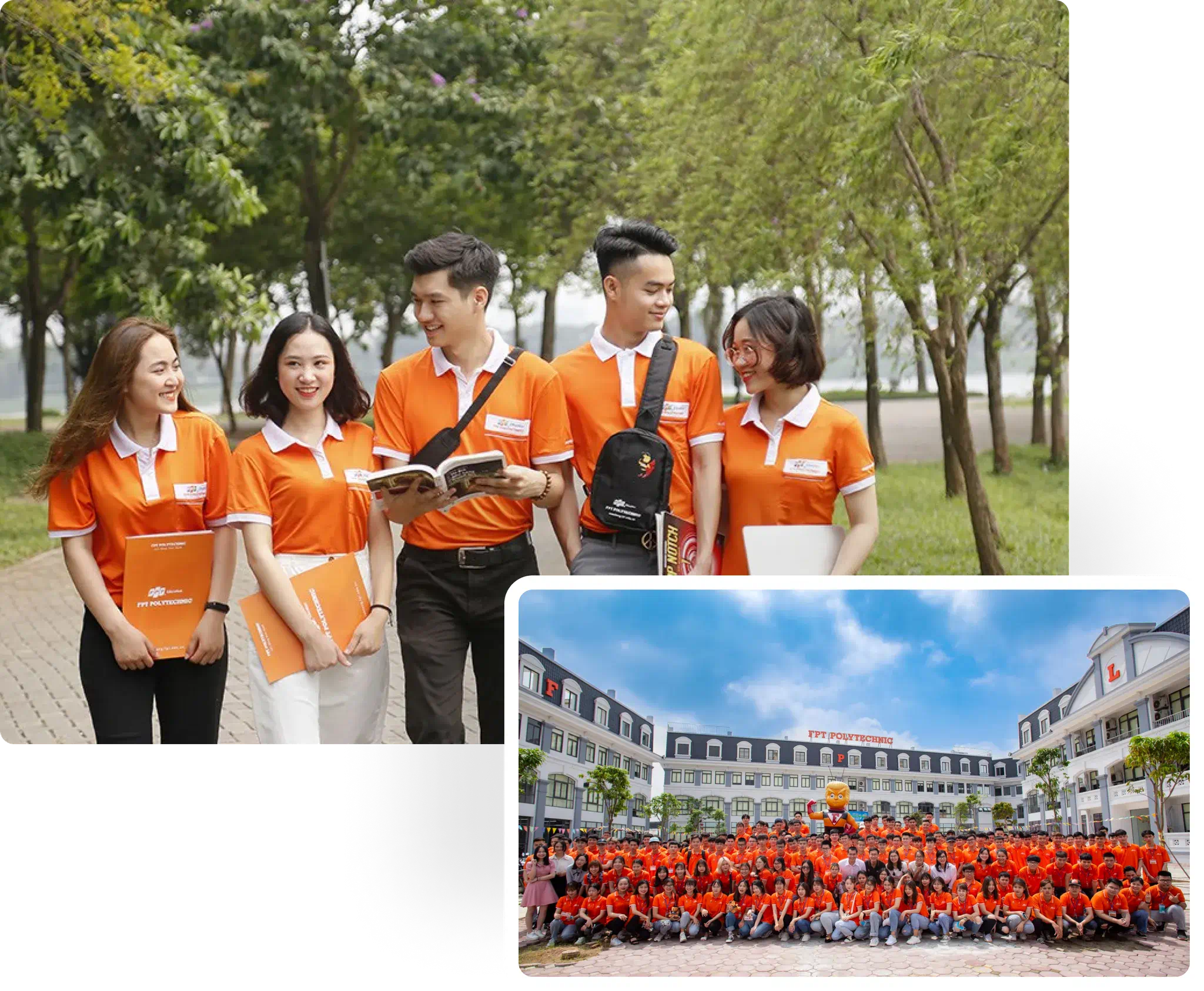短期大学教育